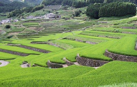 【1日目】13:20 鬼木棚田-1
